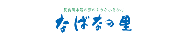 長良川水辺の夢のような小さな村　なばなの里