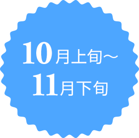 10月上旬～11月下旬