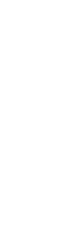 ダリア・コスモスまつり