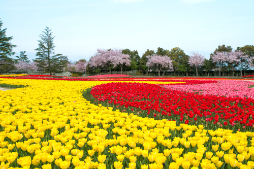 花まつり なばなの里