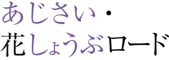 あじさい・花しょうぶロード