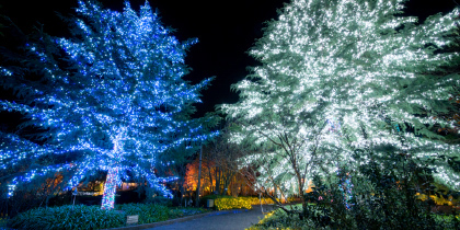イルミネーションチケットはコンビニエンスストアで事前購入が便利です イルミネーション なばなの里