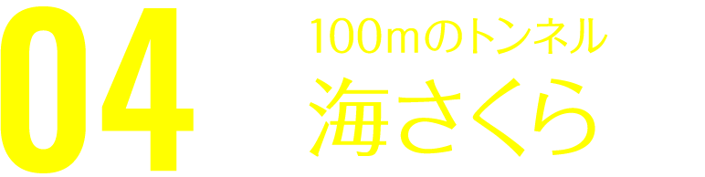 光のトンネル 海さくら