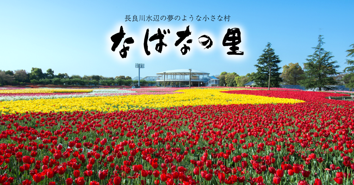 開花状況 なばなの里 最新速報ページ なばなの里