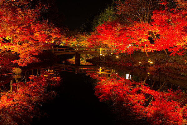 なばなの里は紅葉の名所 錦秋の絶景 鏡池が大人気 11月中旬頃 12月中旬頃 イベント 観光三重