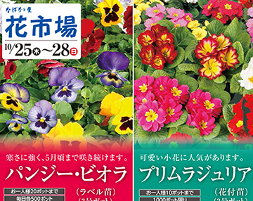 ぜいたく花 チラシ 最高の花の画像 ぜいたく花 チラシ 最高の花の画像