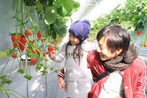  小さなお子様も安心