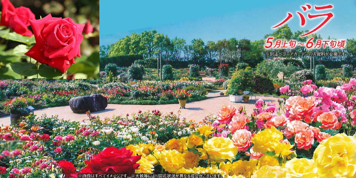 なばなの里 ナガシマリゾート