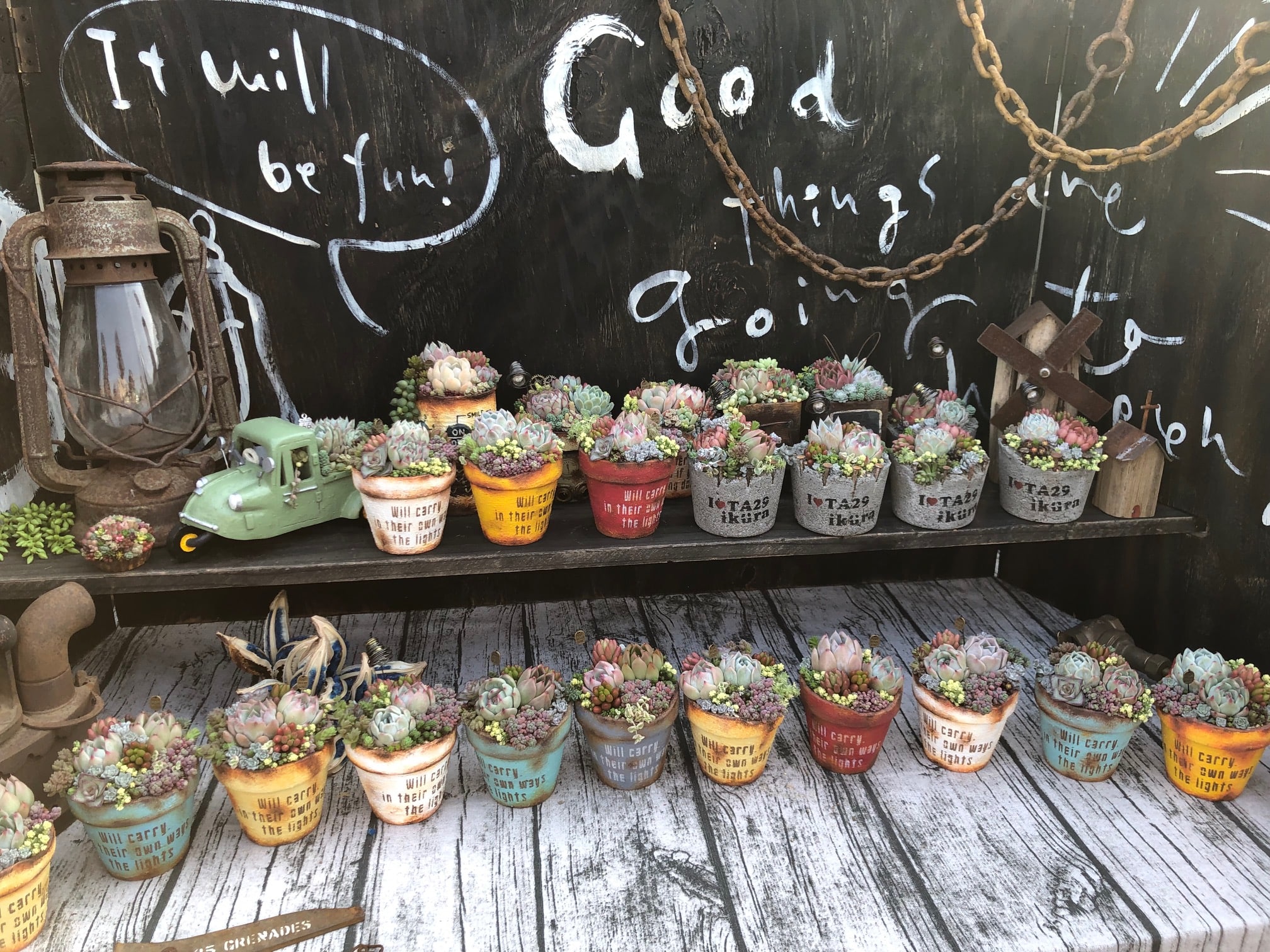 10 23 土 24 日 多肉とみどりのマルシェinなばなの里 なばなの里