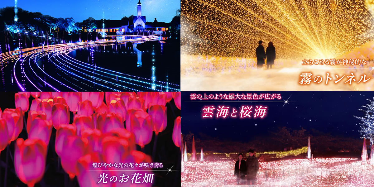 https://www.nagashima-onsen.co.jp/nabana/illumination-summer/index.html