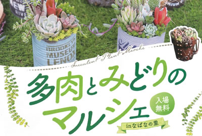 第4回 多肉とみどりのマルシェ In なばなの里 多肉即売会 イベント情報 Pukubook