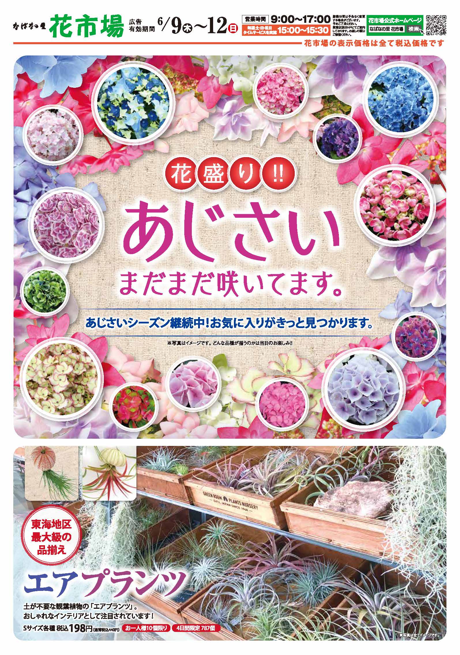 折り込みちらし なばなの里 花市場 なばなの里