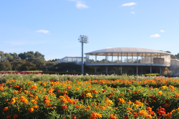 開花状況 なばなの里 最新速報ページ なばなの里