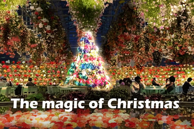 遊園地/テーマパーク なばなの里12月24日クリスマス限定チケット