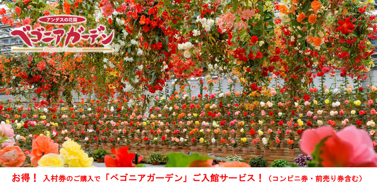 なばなの里 -ナガシマリゾート