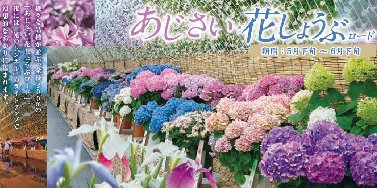なばなの里 -ナガシマリゾート