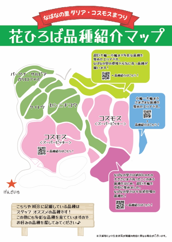 2026年コスモスまつり 品種紹介｜なばなの里