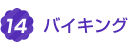 13.バイキング