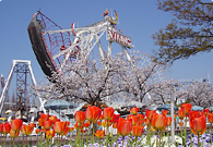 写真02