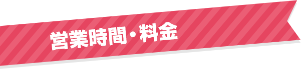 営業時間 料金 ナガシマスパーランド