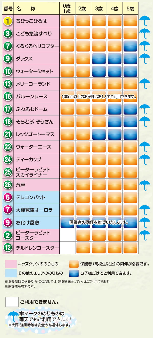 豪華 ナガシマスパーランド パスポート 大人（中学生以上）2枚（2