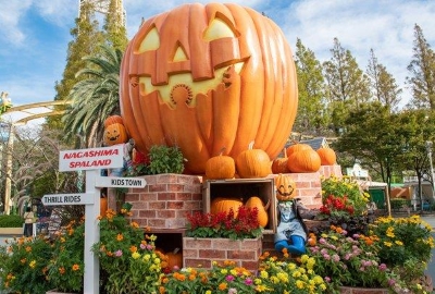 halloween pumpkin