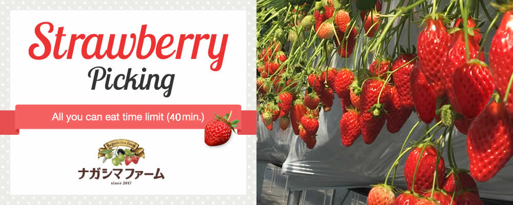 いちご狩り Strawberry Picking In Nagashima Farm ナガシマファーム 英語 ナガシマリゾート