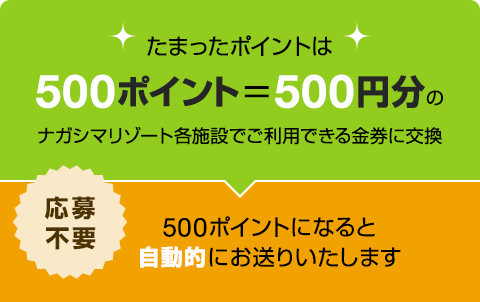 ナガシマスパーランド パスポート券２名分＋共通金券1000円分 12月末まで有効