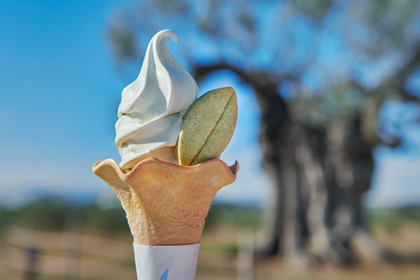 You can also enjoy ice cream mixed with olive leaves.