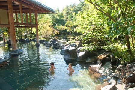 湯あみの島　入館券